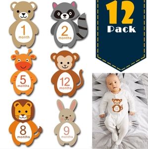Brand new baby photo reusable tickers set